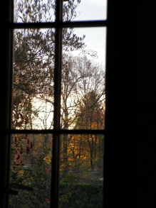 Through the window _ Lights and autumn _ Michela_glp_photo