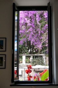 Through the window _ only colours_ Michela_glp_photo