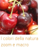 I colori della natura zoom e macro WowingEmoji fotografia